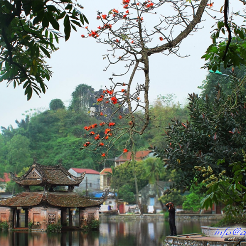 Hanoi, Vietnam | Thay Pagoda - Master Pagoda Hanoi, Vietnam | Thay Pagoda - Master Pagoda